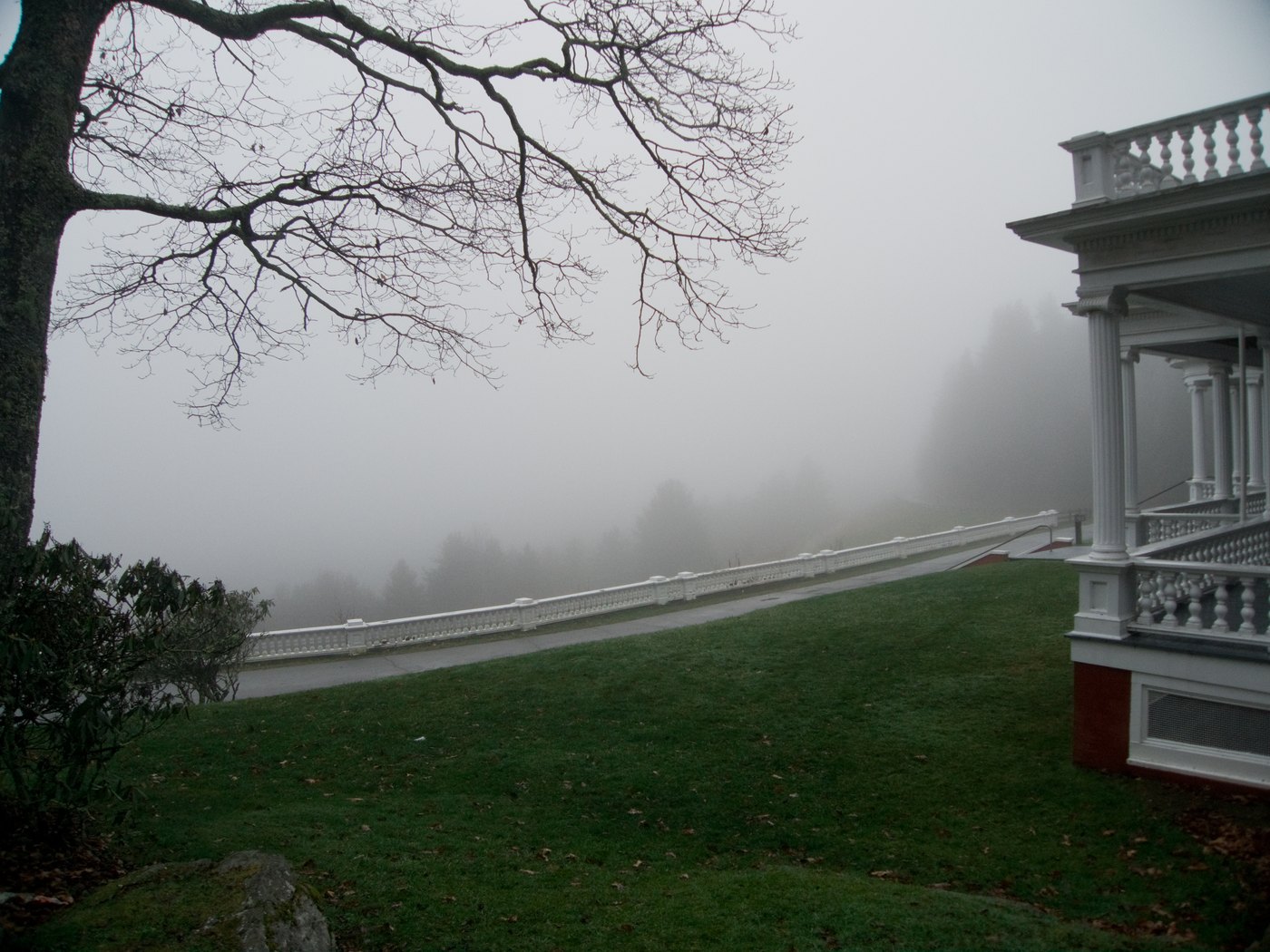 The photographer's finished picture: lighter, warmer, the fog pale and open